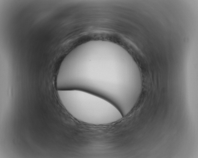 X0000114121013200910051254