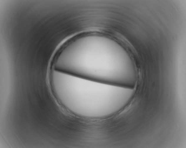 X0000114121020200910051255