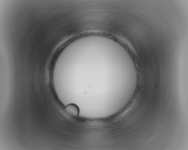 X0000114121027200910051255