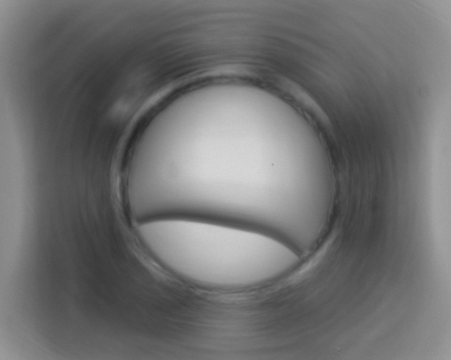 X0000114121029200910051255