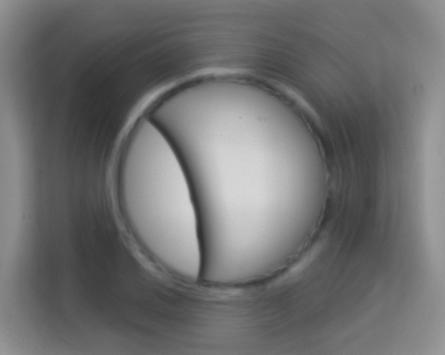 X0000114121030200910051255