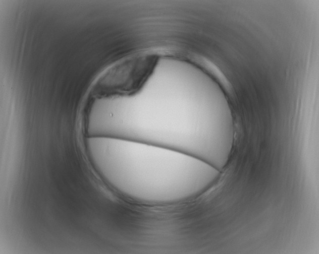 X0000114121035200910051255