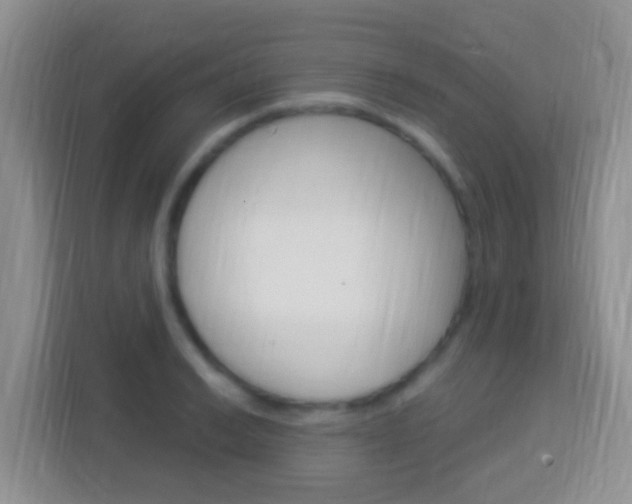 X0000114121038200910051255
