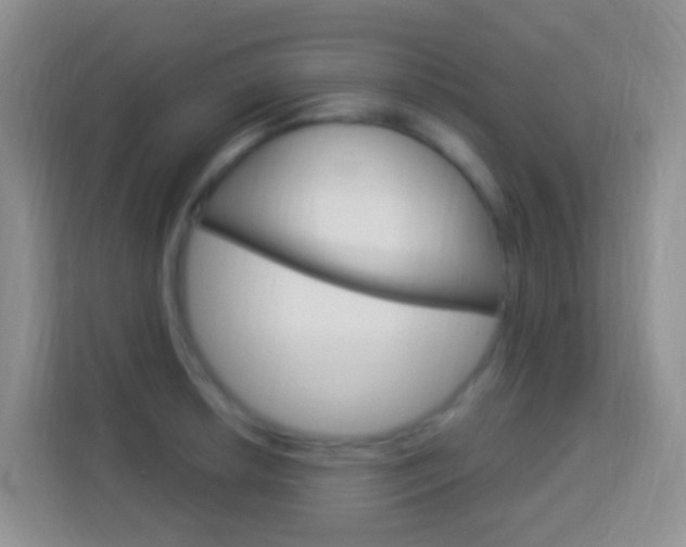 X0000114121042200910051255