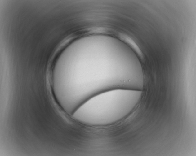 X0000114121043200910051255