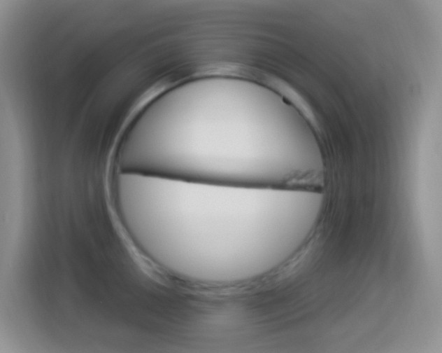 X0000114121050200910051255