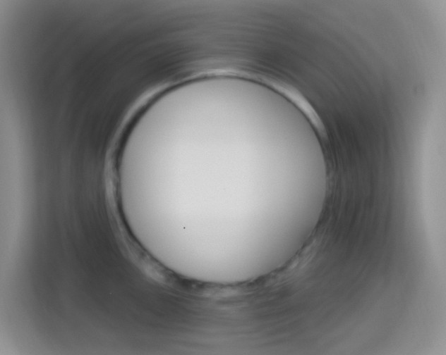 X0000114121051200910051255