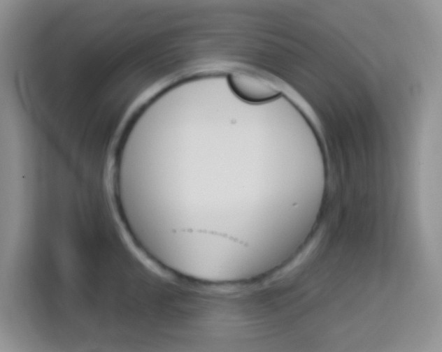 X0000114121053200910051255