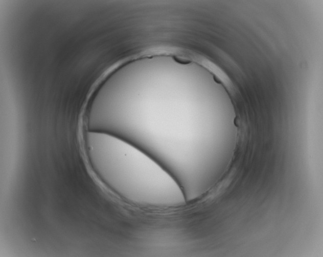 X0000114121055200910051255