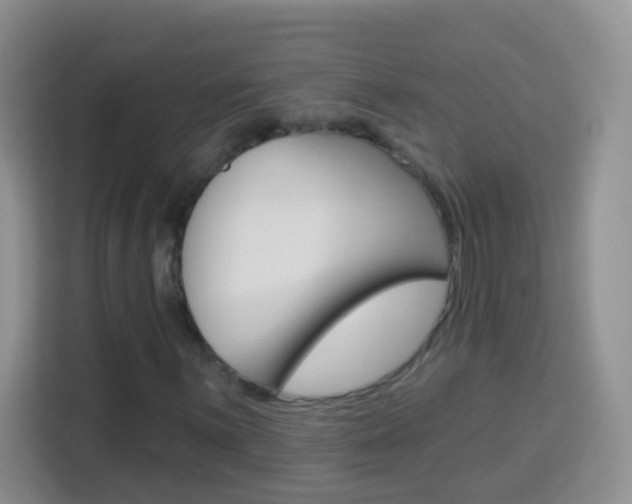 X0000114121059200910051254