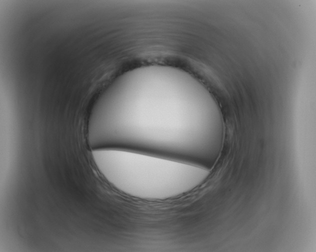 X0000114121060200910051254
