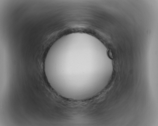 X0000114121061200910051254