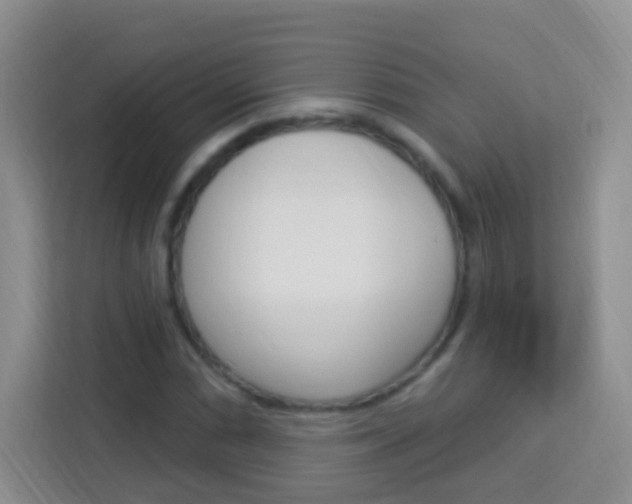 X0000114121066200910051254