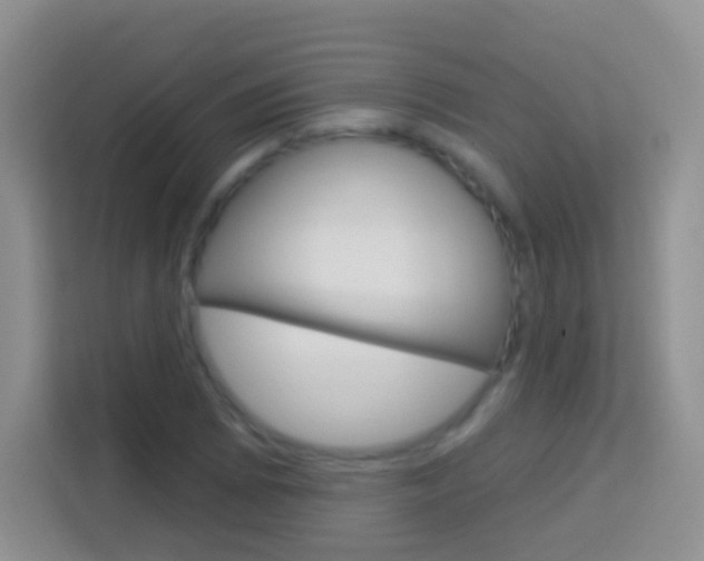 X0000114121073200910051254
