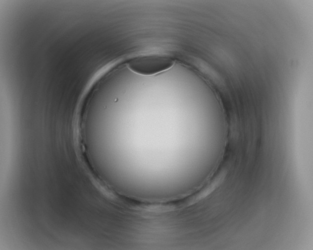 X0000114121077200910051254