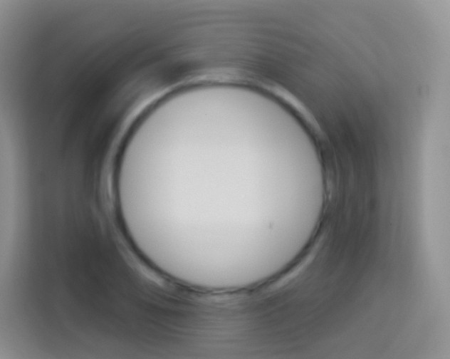 X0000114121078200910051254