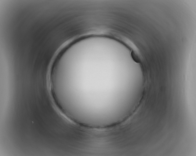 X0000114121080200910051254