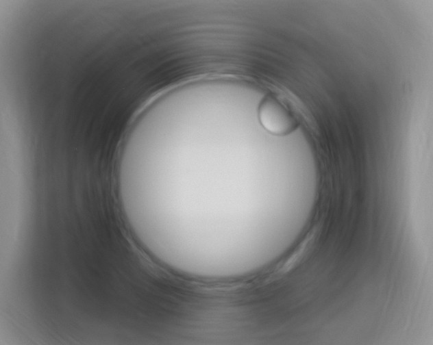 X0000114121081200910051254