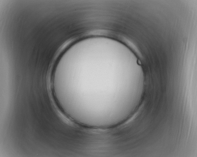X0000114121082200910051254