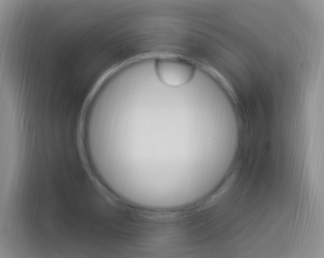 X0000114121085200910051254