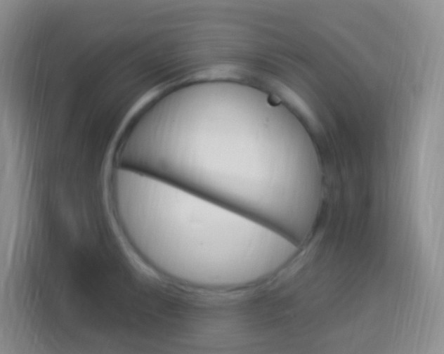 X0000114121087200910051254