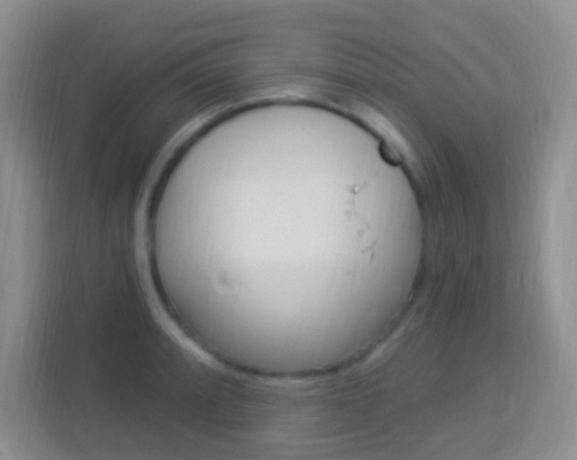X0000114121088200910051254
