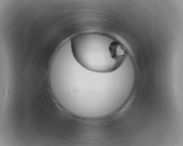 X0000114121089200910051254