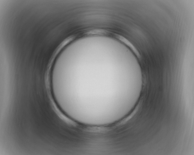X0000114121090200910051254