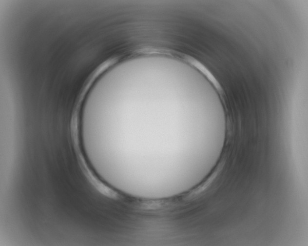 X0000114121098200910051254