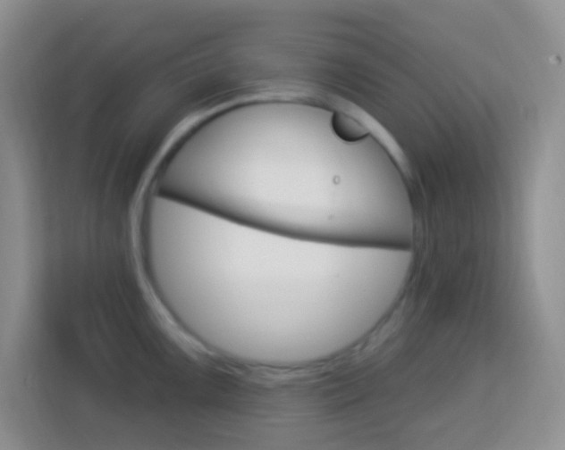 X0000114121099200910051254
