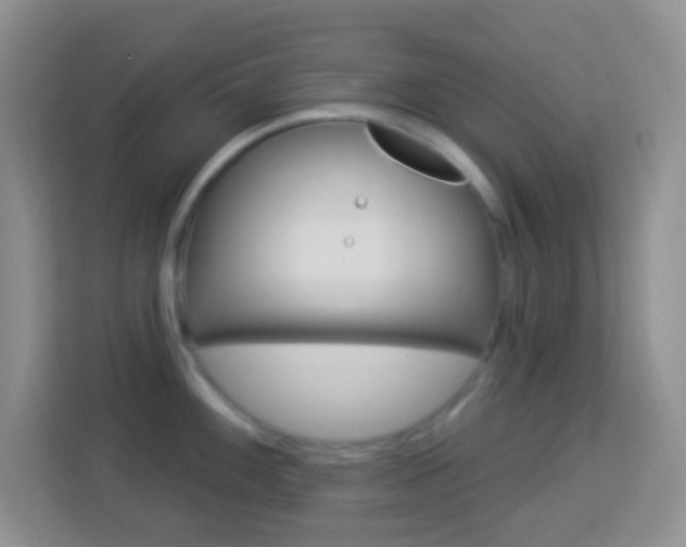 X0000114121100200910051254
