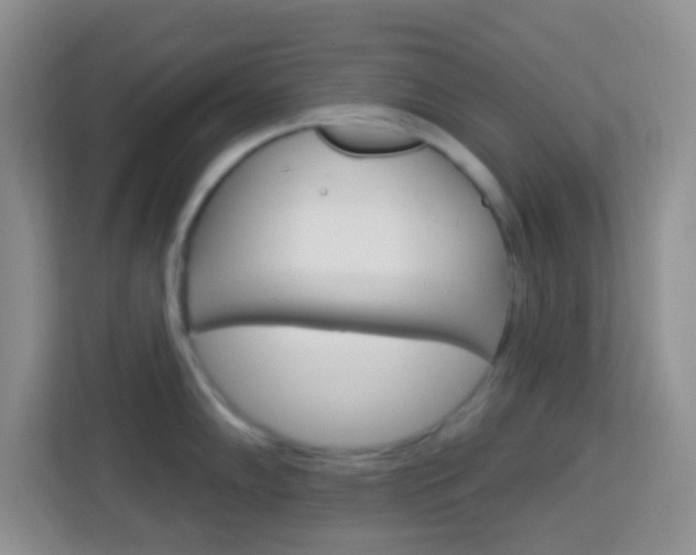 X0000114121102200910051254