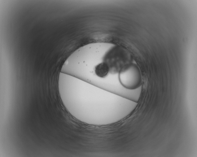 X0000114121106200910051253