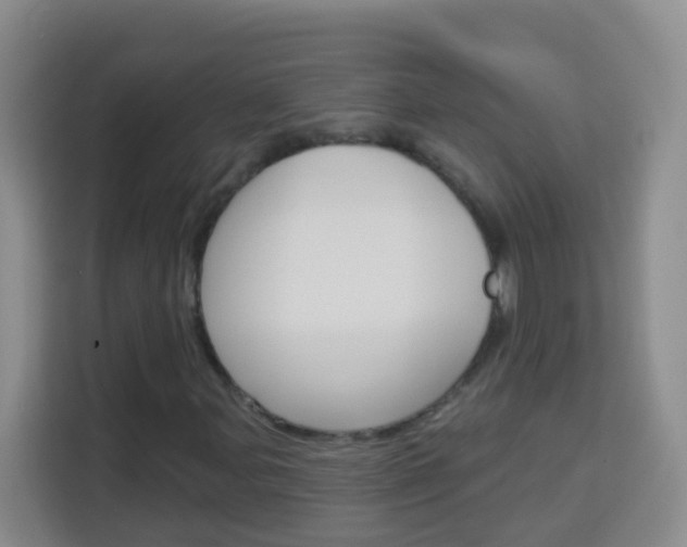 X0000114121107200910051253