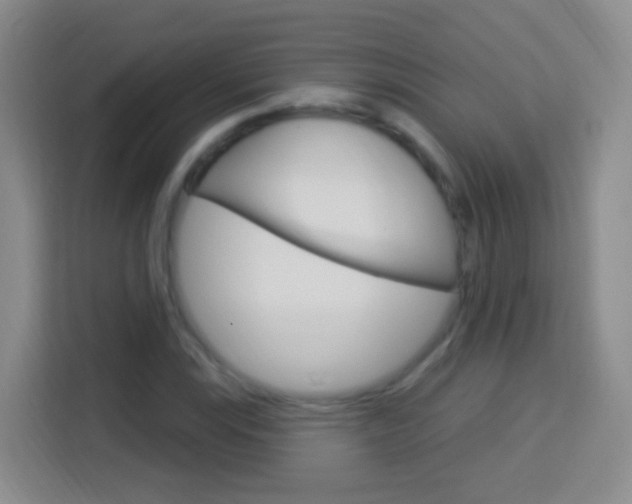 X0000114121115200910051253