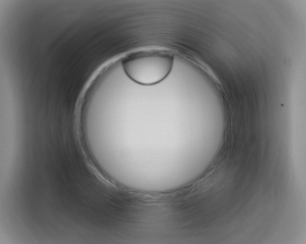 X0000114121116200910051253
