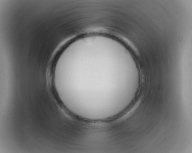 X0000114121117200910051253