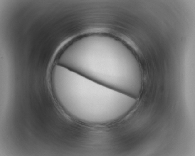 X0000114121119200910051253
