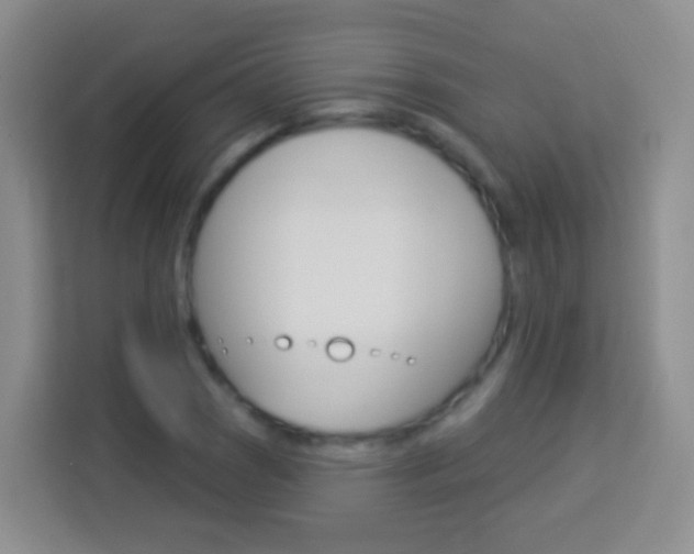 X0000114121121200910051253