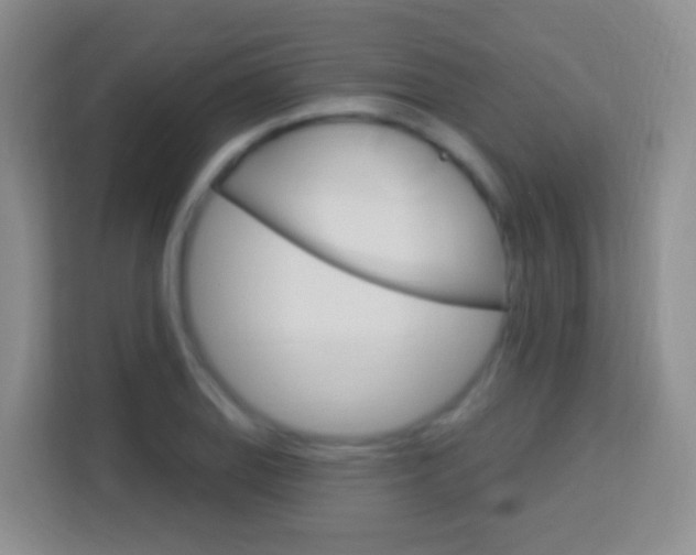 X0000114121127200910051253
