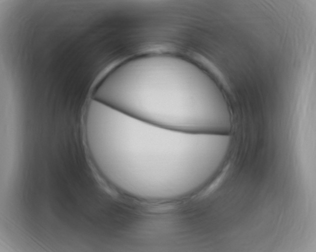 X0000114121129200910051254