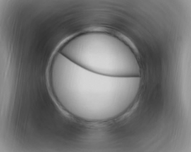 X0000114121133200910051254