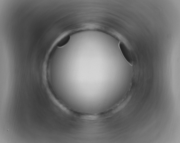 X0000114121134200910051254