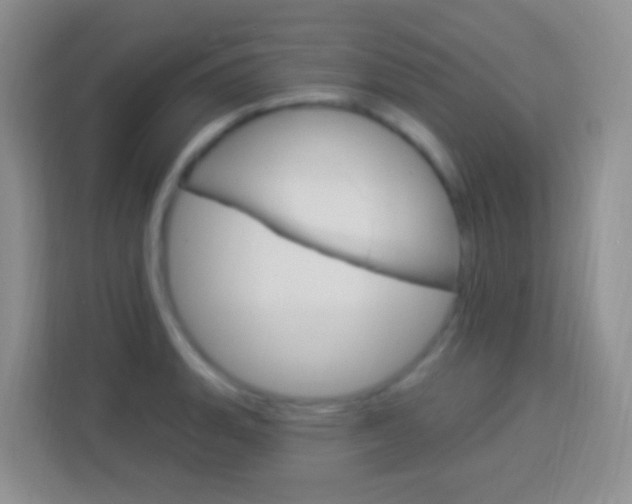 X0000114121135200910051254