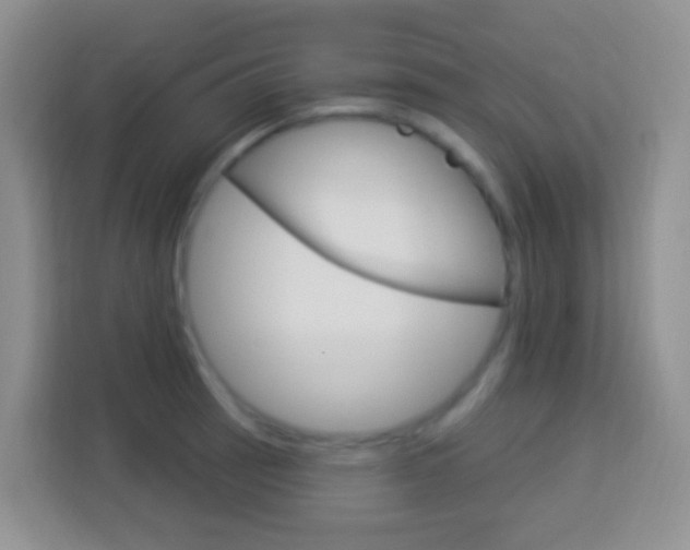 X0000114121137200910051254