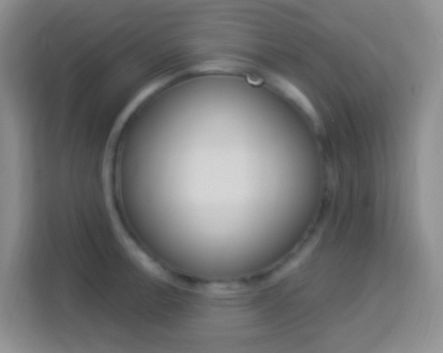 X0000114121138200910051254
