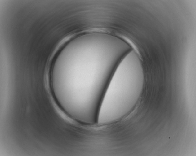 X0000114121139200910051254
