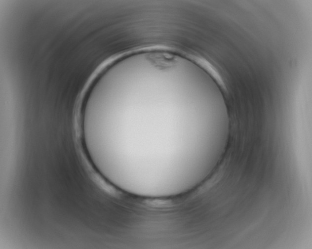 X0000114121140200910051254