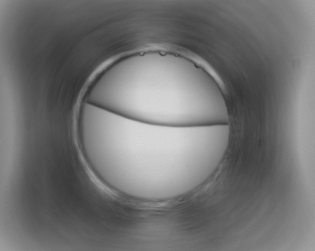 X0000114121143200910051254