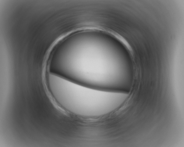 X0000114121144200910051254
